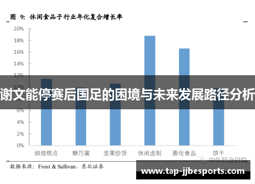 谢文能停赛后国足的困境与未来发展路径分析